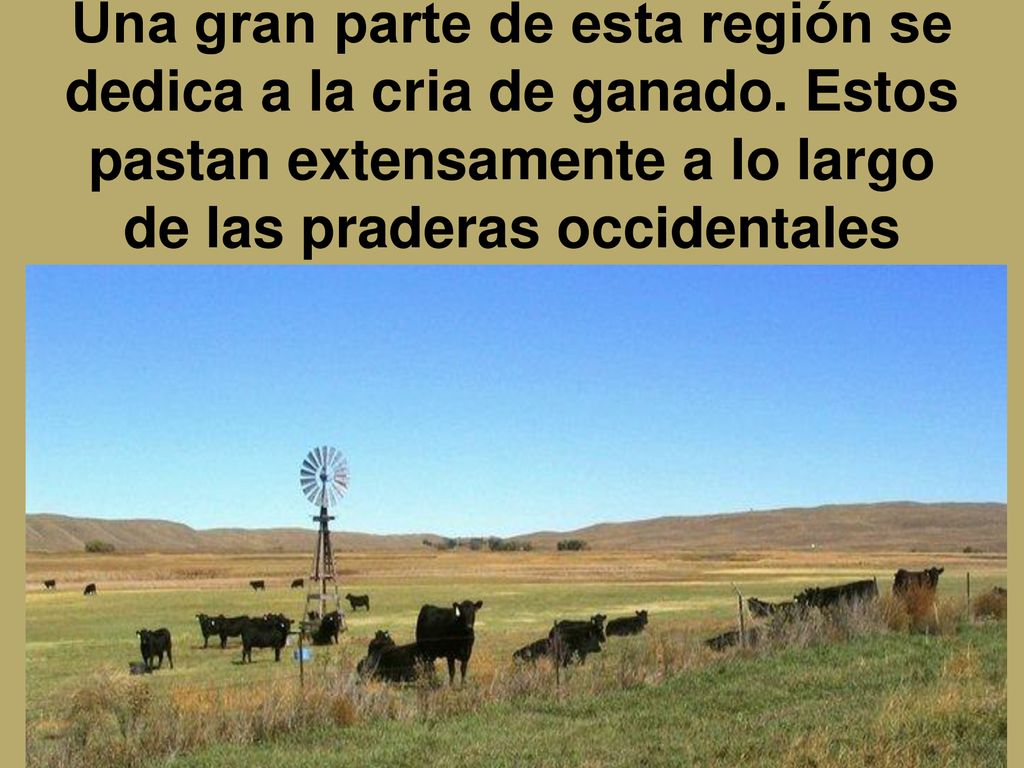 Una gran parte de esta región se dedica a la cria de ganado