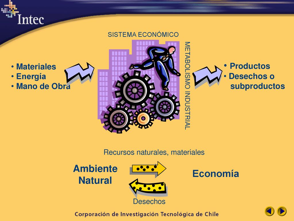 Productos Ambiente Economía Natural Materiales Desechos o Energía