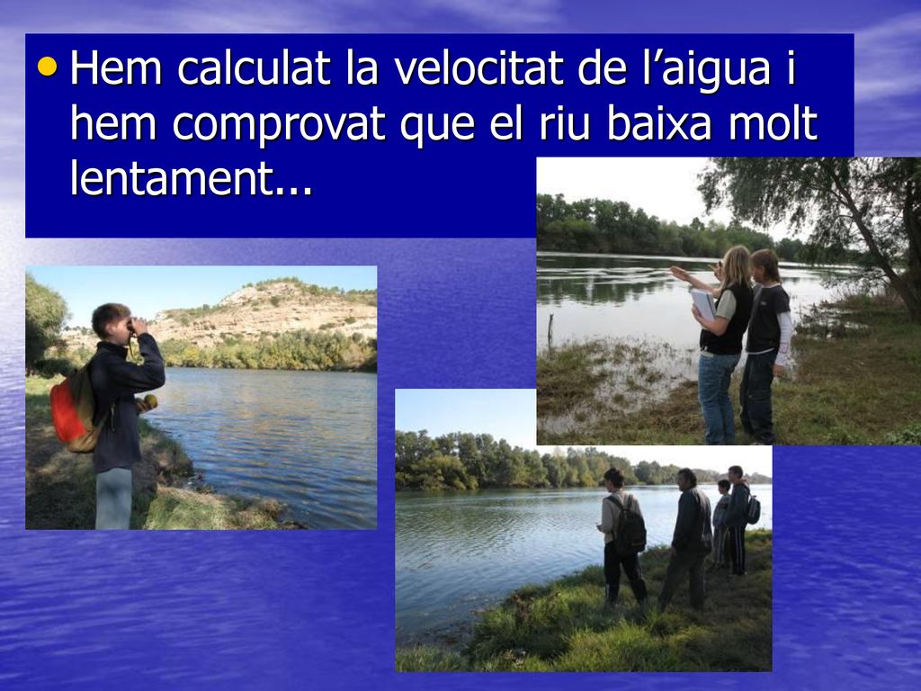 Hem calculat la velocitat de l’aigua i hem comprovat que el riu baixa molt lentament...