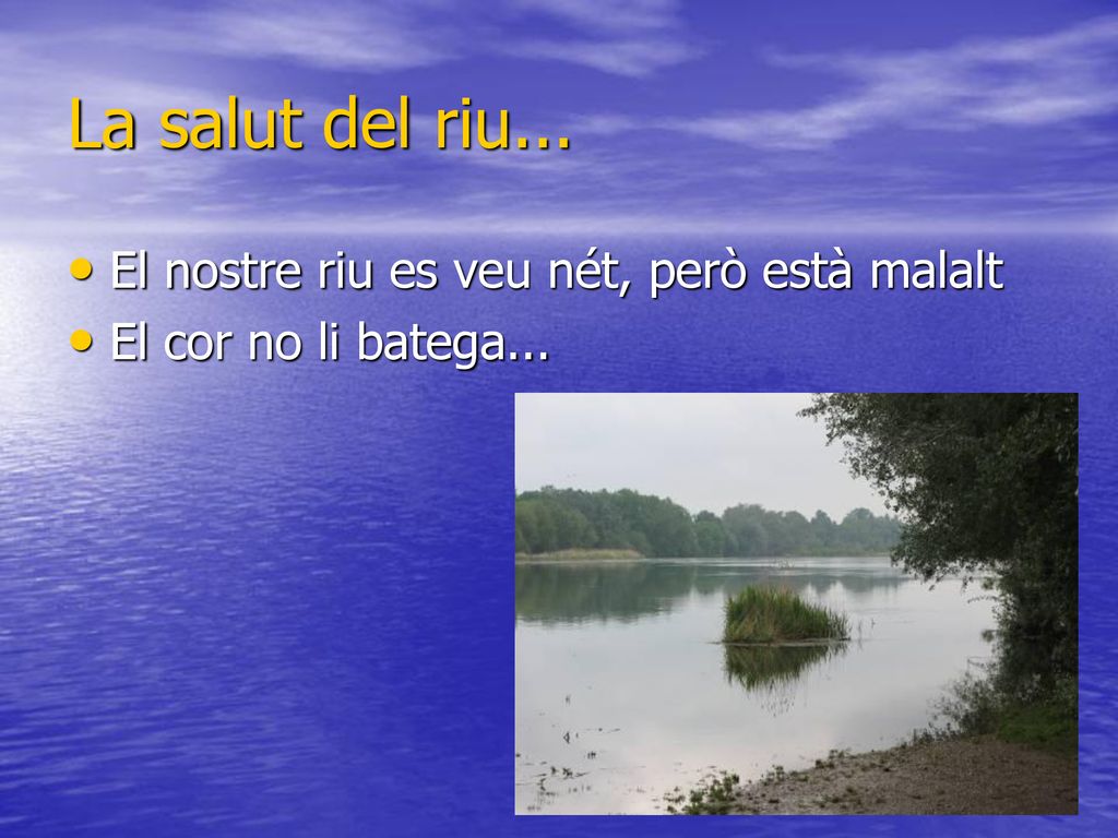 La salut del riu... El nostre riu es veu nét, però està malalt