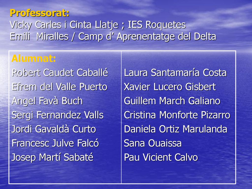 Professorat: Vicky Carles i Cinta Llatje ; IES Roquetes