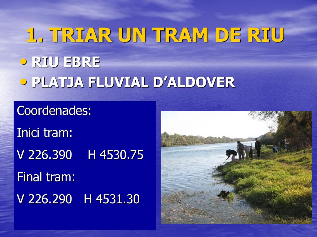 1. TRIAR UN TRAM DE RIU RIU EBRE PLATJA FLUVIAL D’ALDOVER Coordenades: