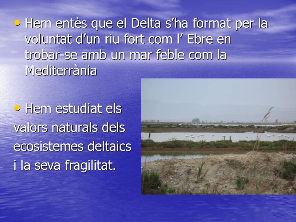 Hem entès que el Delta s’ha format per la voluntat d’un riu fort com l’ Ebre en trobar-se amb un mar feble com la Mediterrània