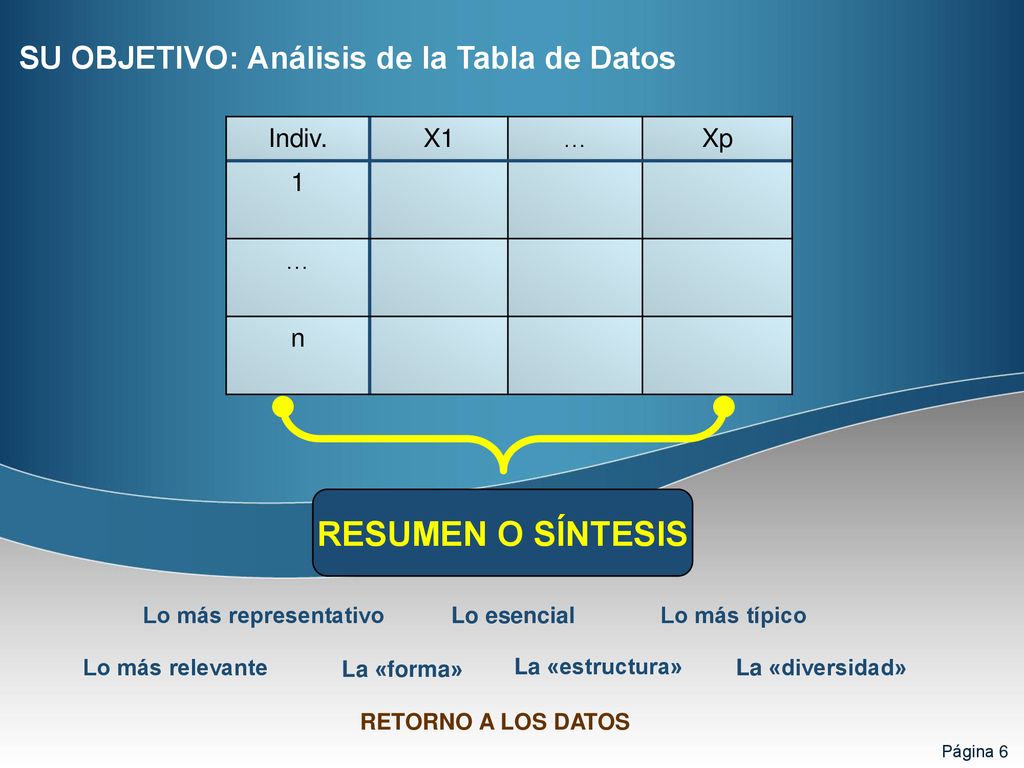 RESUMEN O SÍNTESIS SU OBJETIVO: Análisis de la Tabla de Datos Indiv.
