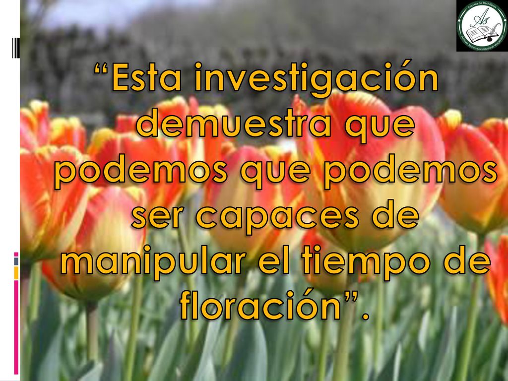 Esta investigación demuestra que podemos que podemos ser capaces de manipular el tiempo de floración .
