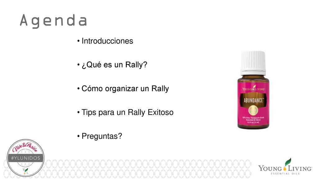 Agenda Introducciones ¿Qué es un Rally Cómo organizar un Rally