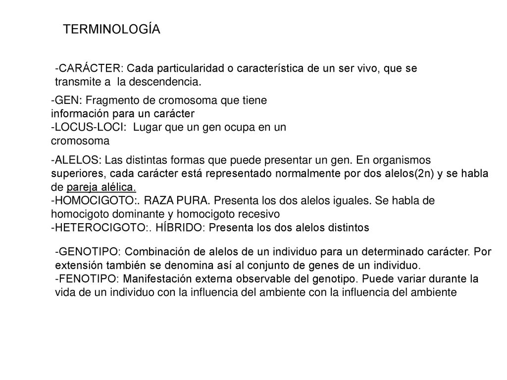 TERMINOLOGÍA CARÁCTER: Cada particularidad o característica de un ser vivo, que se transmite a la descendencia.