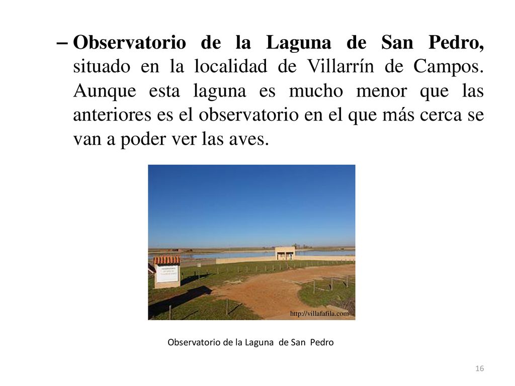 Observatorio de la Laguna de San Pedro, situado en la localidad de Villarrín de Campos. Aunque esta laguna es mucho menor que las anteriores es el observatorio en el que más cerca se van a poder ver las aves.