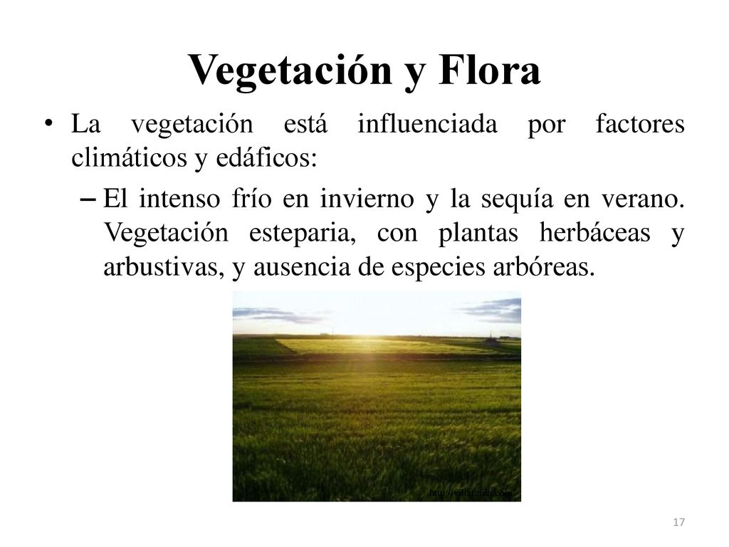 Vegetación y Flora La vegetación está influenciada por factores climáticos y edáficos: