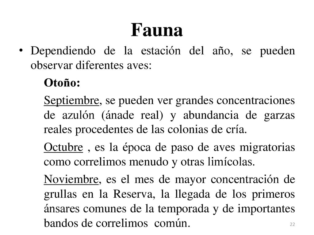 Fauna Dependiendo de la estación del año, se pueden observar diferentes aves: Otoño: