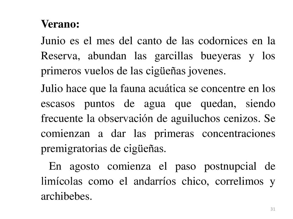 Verano: Junio es el mes del canto de las codornices en la Reserva, abundan las garcillas bueyeras y los primeros vuelos de las cigüeñas jovenes.