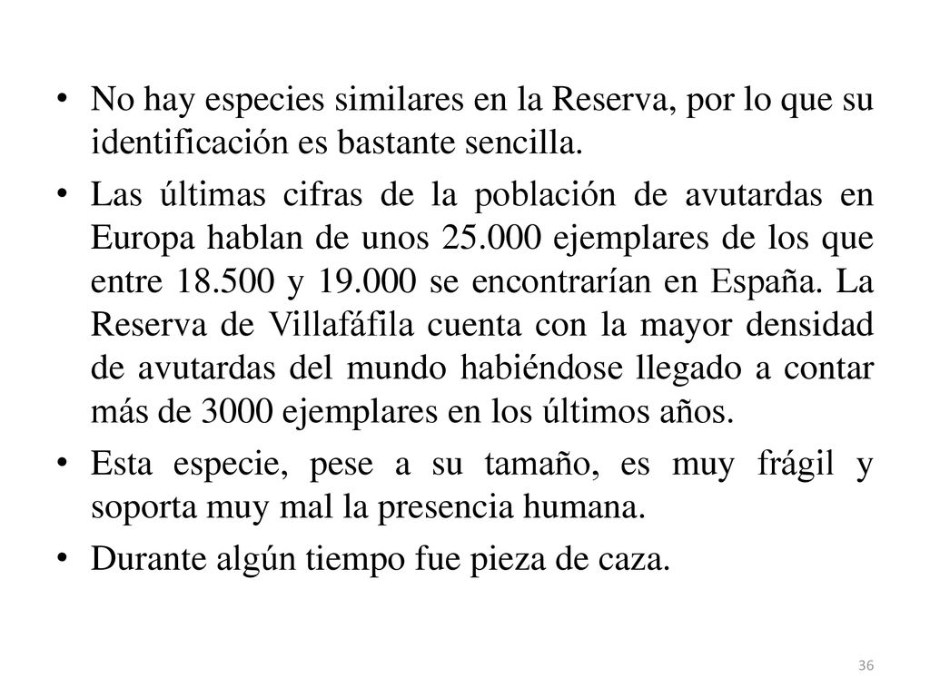 No hay especies similares en la Reserva, por lo que su identificación es bastante sencilla.