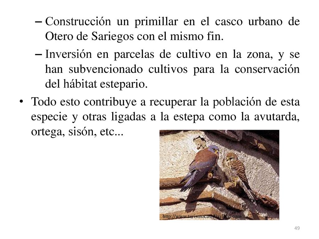 Construcción un primillar en el casco urbano de Otero de Sariegos con el mismo fin.