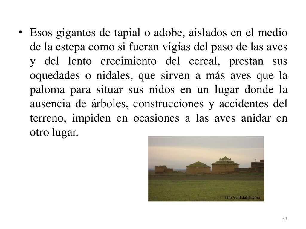 Esos gigantes de tapial o adobe, aislados en el medio de la estepa como si fueran vigías del paso de las aves y del lento crecimiento del cereal, prestan sus oquedades o nidales, que sirven a más aves que la paloma para situar sus nidos en un lugar donde la ausencia de árboles, construcciones y accidentes del terreno, impiden en ocasiones a las aves anidar en otro lugar.