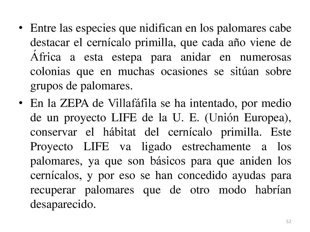 Entre las especies que nidifican en los palomares cabe destacar el cernícalo primilla, que cada año viene de África a esta estepa para anidar en numerosas colonias que en muchas ocasiones se sitúan sobre grupos de palomares.