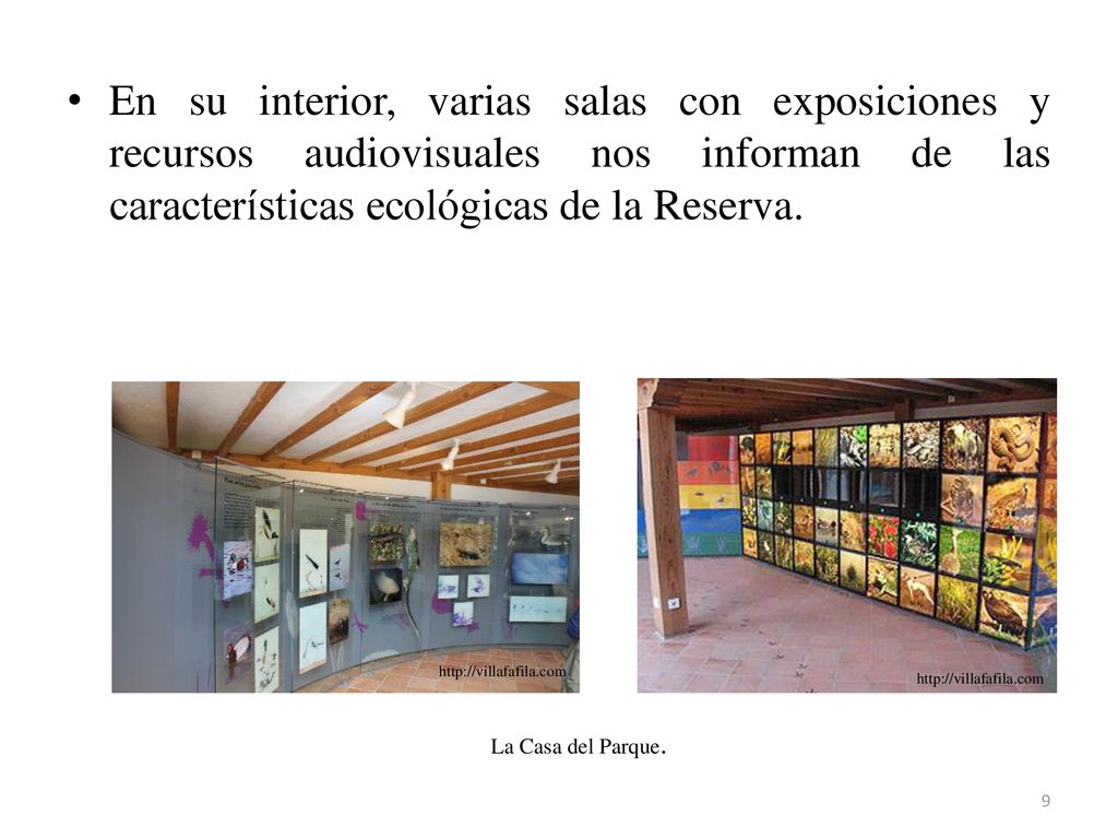 En su interior, varias salas con exposiciones y recursos audiovisuales nos informan de las características ecológicas de la Reserva.