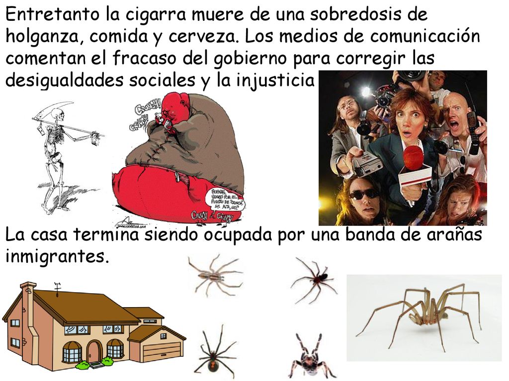 Entretanto la cigarra muere de una sobredosis de holganza, comida y cerveza. Los medios de comunicación comentan el fracaso del gobierno para corregir las desigualdades sociales y la injusticia económica..