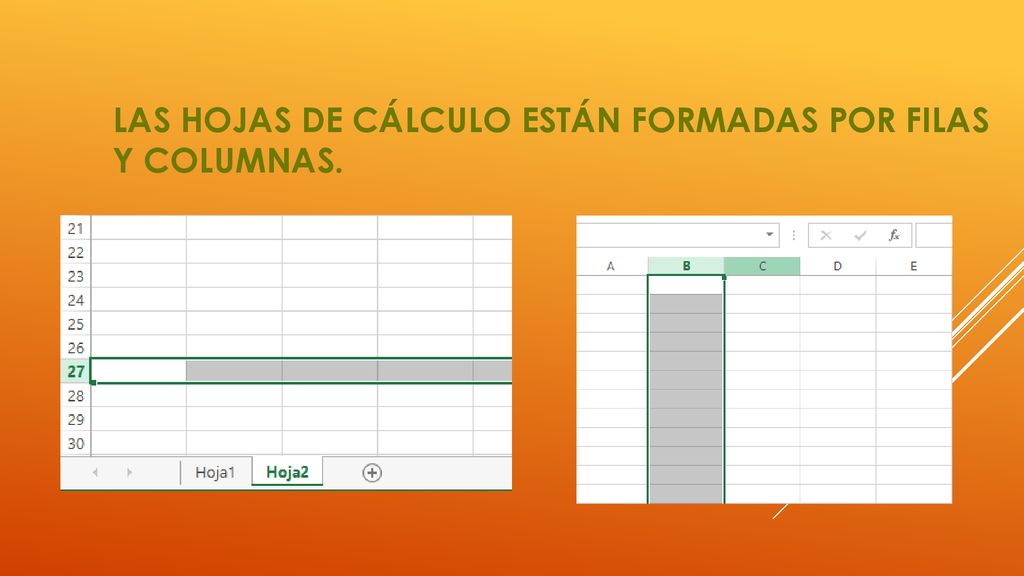Las hojas de cálculo están formadas por filas y columnas.