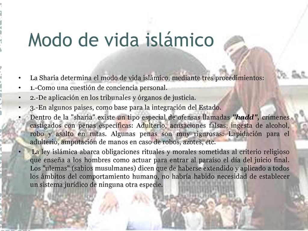 Modo de vida islámico La Sharia determina el modo de vida islámico, mediante tres procedimientos: 1.-Como una cuestión de conciencia personal.