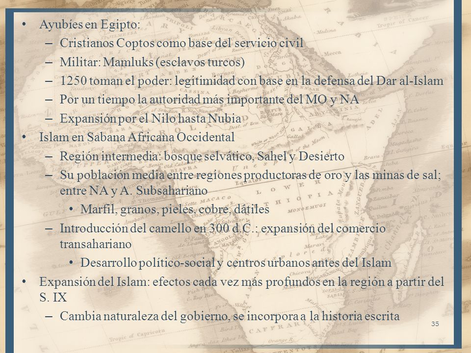 Ayubíes en Egipto: Cristianos Coptos como base del servicio civil. Militar: Mamluks (esclavos turcos)