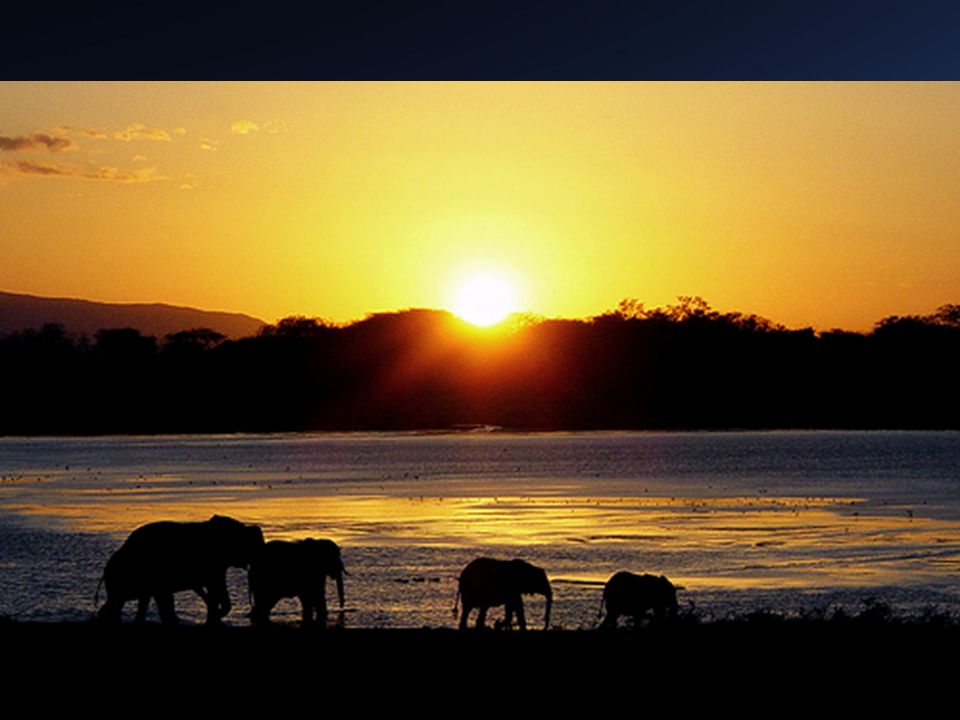 África Oriental Mar Rojo, Río Zambeze, O. Índico, Sudán y Valle del Congo. Altas tierras y lagos (más de 1000 mts) y fosas tectónicas.