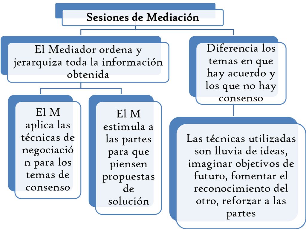 El Mediador ordena y jerarquiza toda la información obtenida