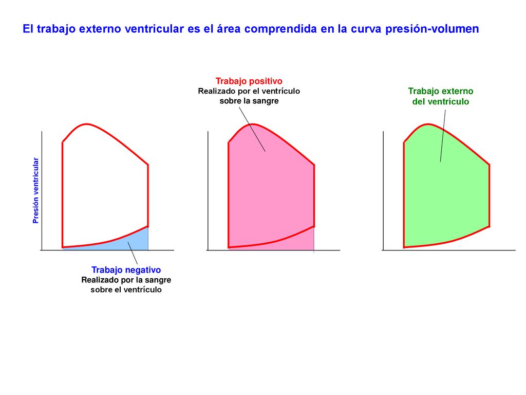 El trabajo externo ventricular es el área comprendida en la curva presión-volumen