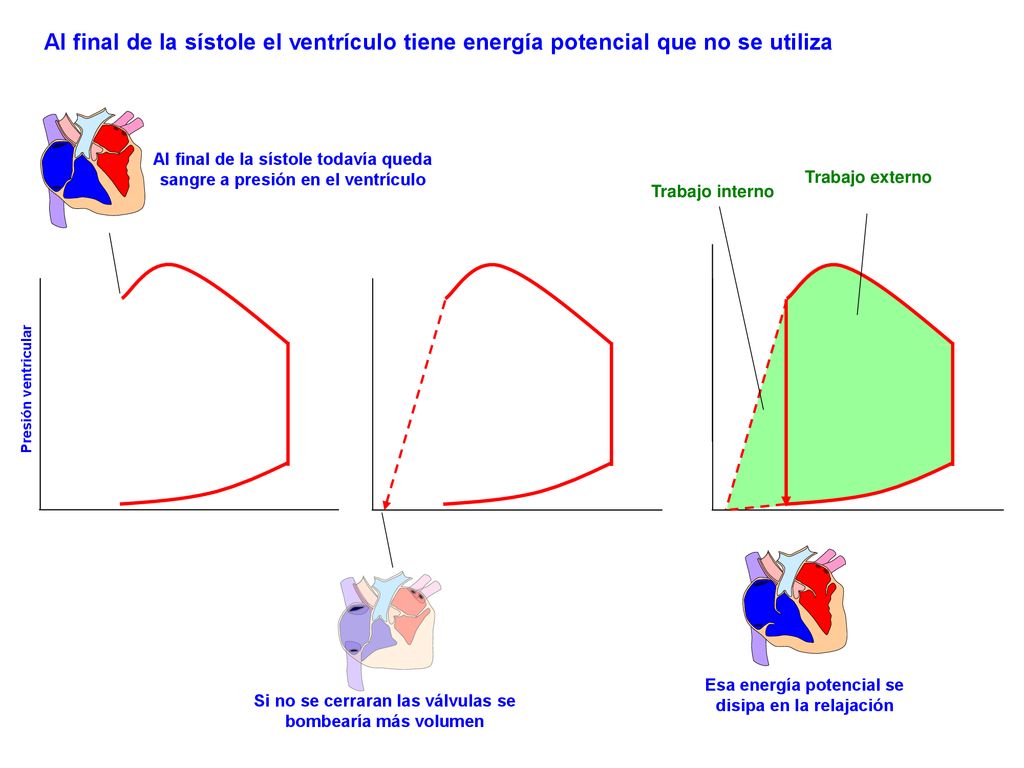 Al final de la sístole el ventrículo tiene energía potencial que no se utiliza