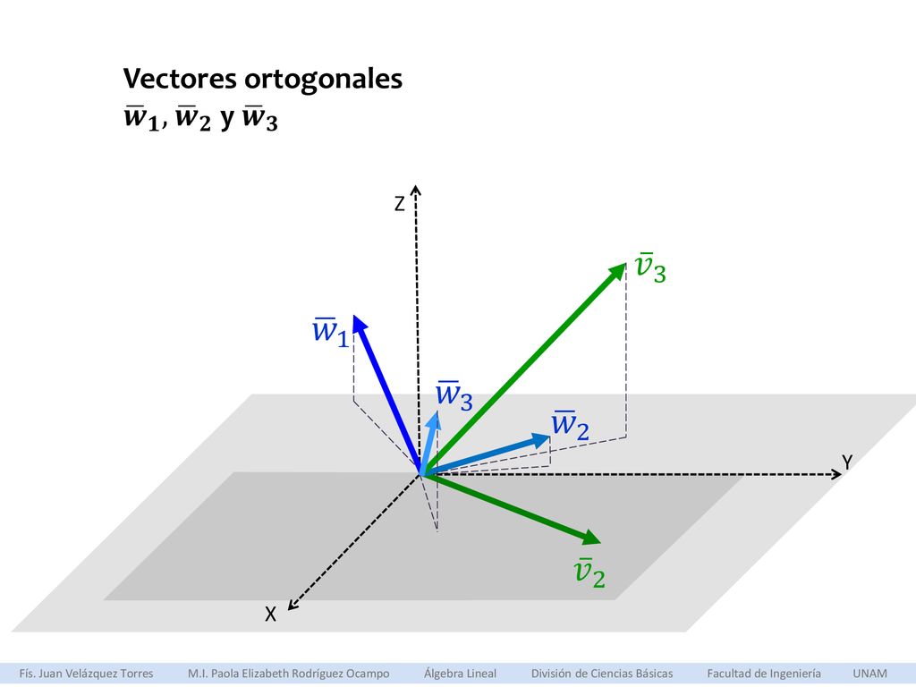𝑣 3 𝑤 1 𝑤 3 𝑤 2 𝑣 2 Vectores ortogonales 𝒘 𝟏 , 𝒘 𝟐 y 𝒘 𝟑 Z Y X