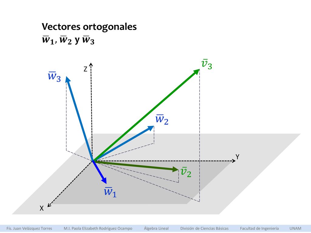 𝑣 3 𝑤 3 𝑤 2 𝑣 2 𝑤 1 Vectores ortogonales 𝒘 𝟏 , 𝒘 𝟐 y 𝒘 𝟑 Z Y X