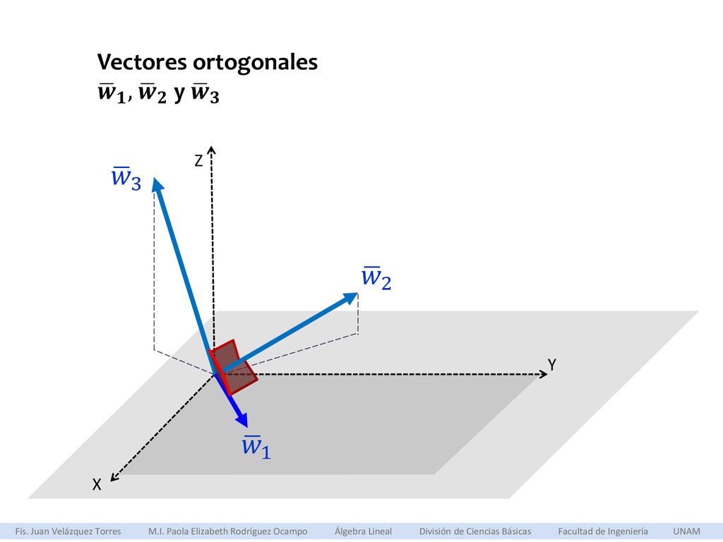 𝑤 3 𝑤 2 𝑤 1 Vectores ortogonales 𝒘 𝟏 , 𝒘 𝟐 y 𝒘 𝟑 Z Y X