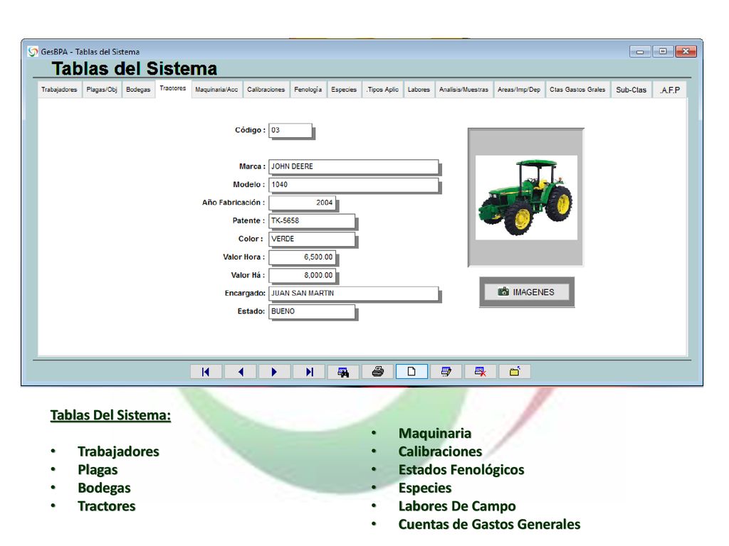 Tablas Del Sistema: Maquinaria. Trabajadores. Calibraciones. Plagas. Estados Fenológicos. Bodegas.