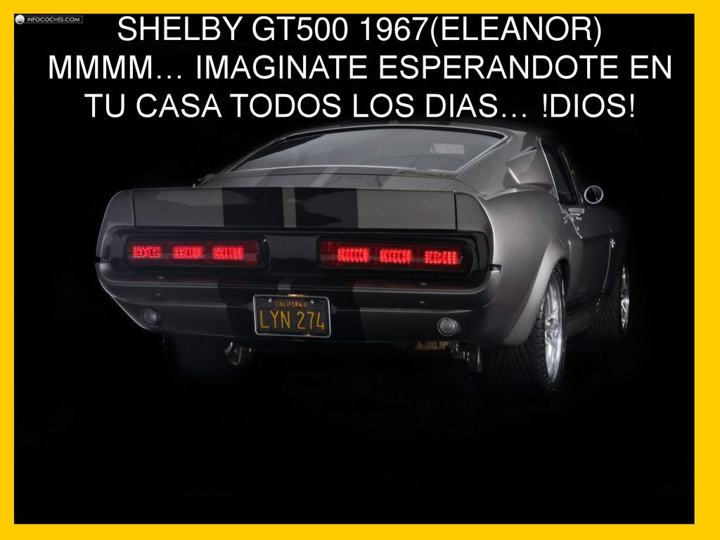 SHELBY GT (ELEANOR) MMMM… IMAGINATE ESPERANDOTE EN TU CASA TODOS LOS DIAS… !DIOS!