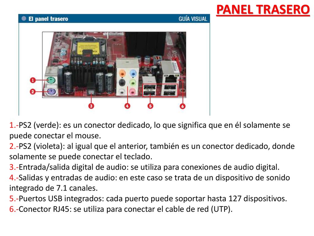 PANEL TRASERO 1.-PS2 (verde): es un conector dedicado, lo que significa que en él solamente se. puede conectar el mouse.