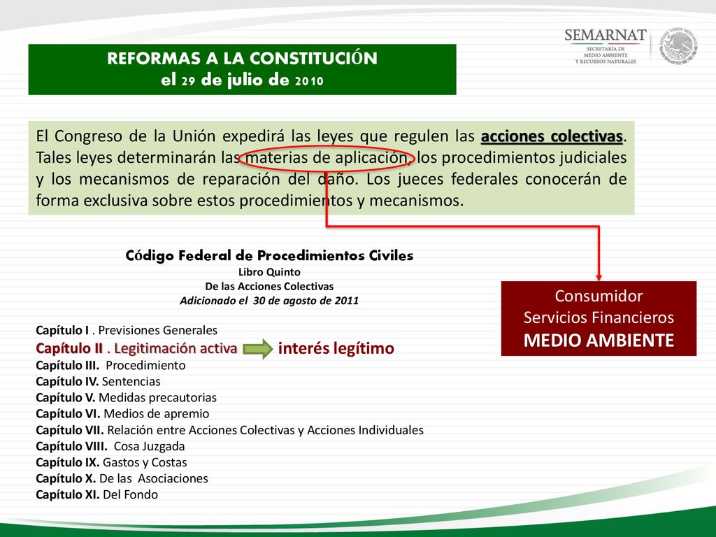 MEDIO AMBIENTE REFORMAS A LA CONSTITUCIÓN el 29 de julio de 2010