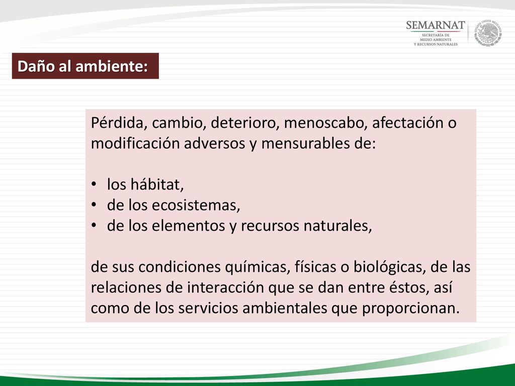 Daño al ambiente: Pérdida, cambio, deterioro, menoscabo, afectación o modificación adversos y mensurables de: