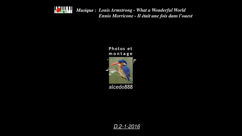 FIN D Louis Armstrong - What a Wonderful World