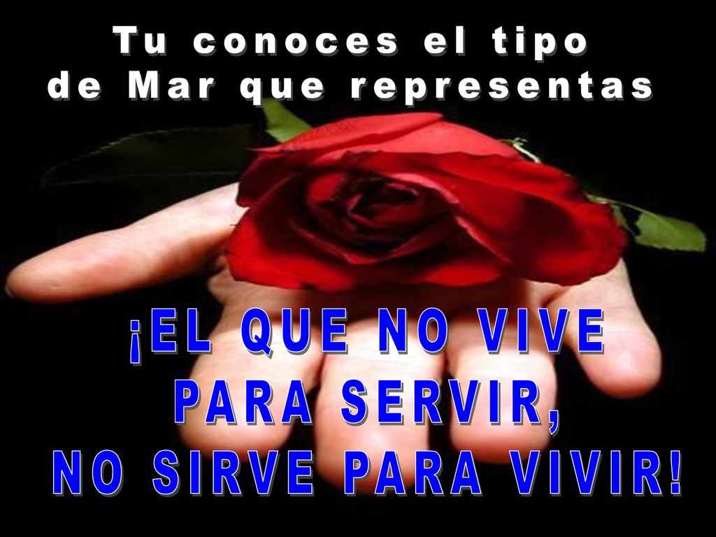 Tu conoces el tipo de Mar que representas ¡EL QUE NO VIVE PARA SERVIR, NO SIRVE PARA VIVIR!