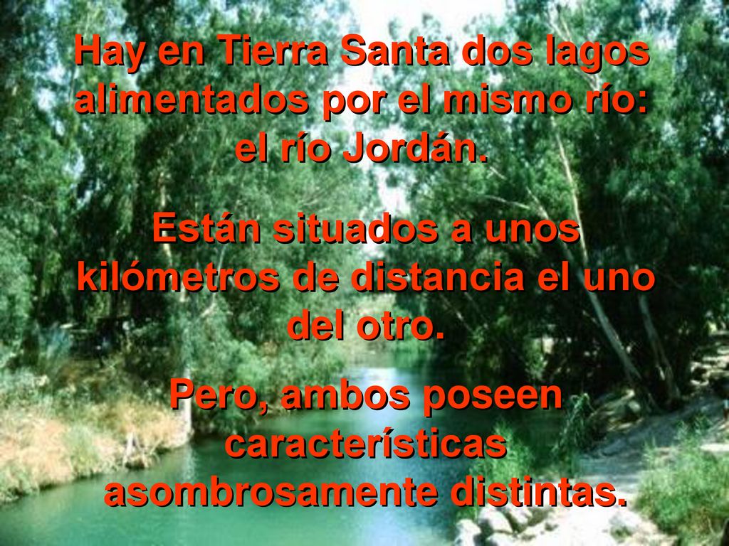 Hay en Tierra Santa dos lagos alimentados por el mismo río:
