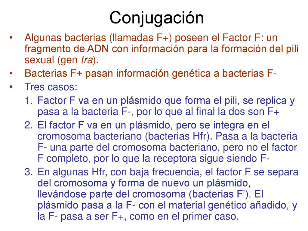 Conjugación Algunas bacterias (llamadas F+) poseen el Factor F: un fragmento de ADN con información para la formación del pili sexual (gen tra).