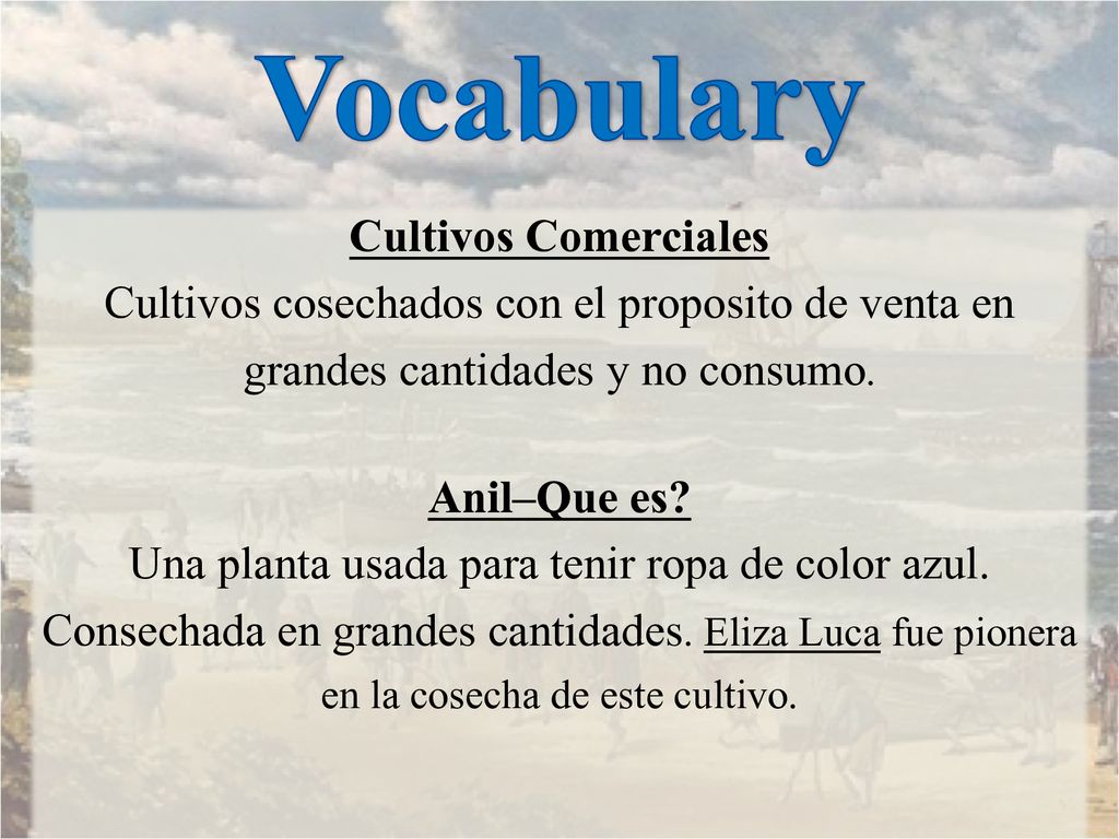Vocabulary Cultivos Comerciales Cultivos cosechados con el proposito de venta en grandes cantidades y no consumo.