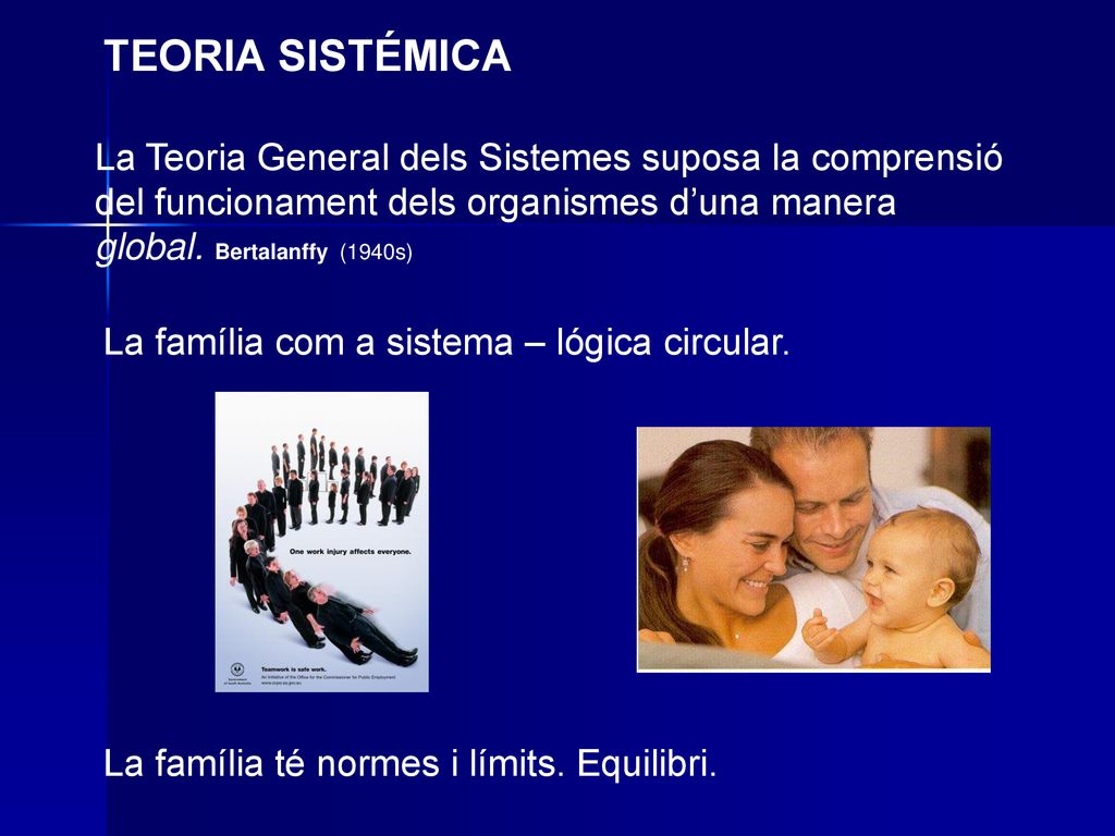 TEORIA SISTÉMICA La Teoria General dels Sistemes suposa la comprensió del funcionament dels organismes d’una manera global. Bertalanffy (1940s)