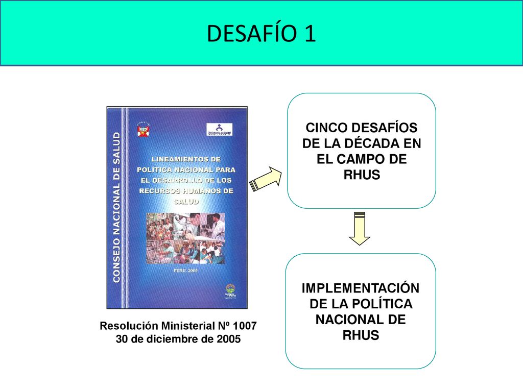 DESAFÍO 1 CINCO DESAFÍOS DE LA DÉCADA EN EL CAMPO DE RHUS