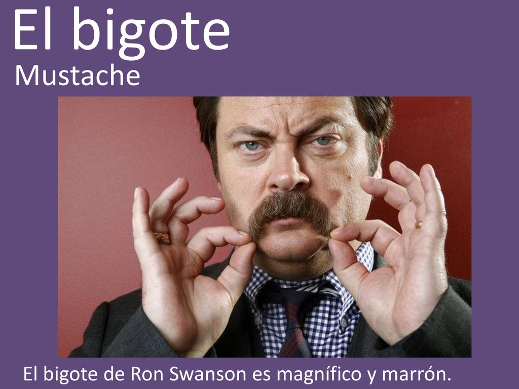 El bigote Mustache El bigote de Ron Swanson es magnífico y marrón.