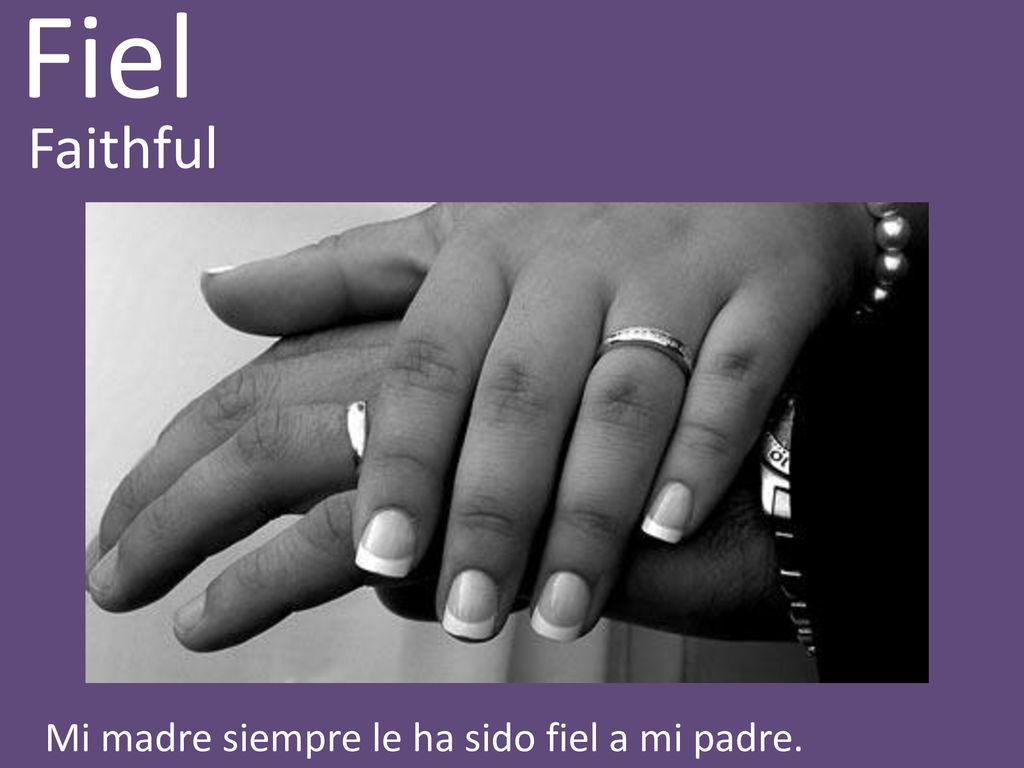 Fiel Faithful Mi madre siempre le ha sido fiel a mi padre.