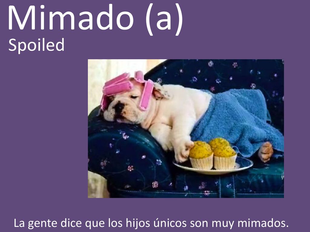 Mimado (a) Spoiled La gente dice que los hijos únicos son muy mimados.