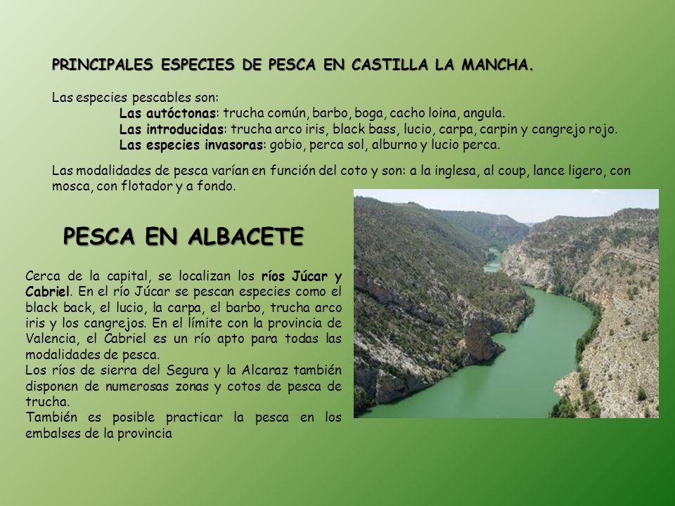 PESCA EN ALBACETE PRINCIPALES ESPECIES DE PESCA EN CASTILLA LA MANCHA.