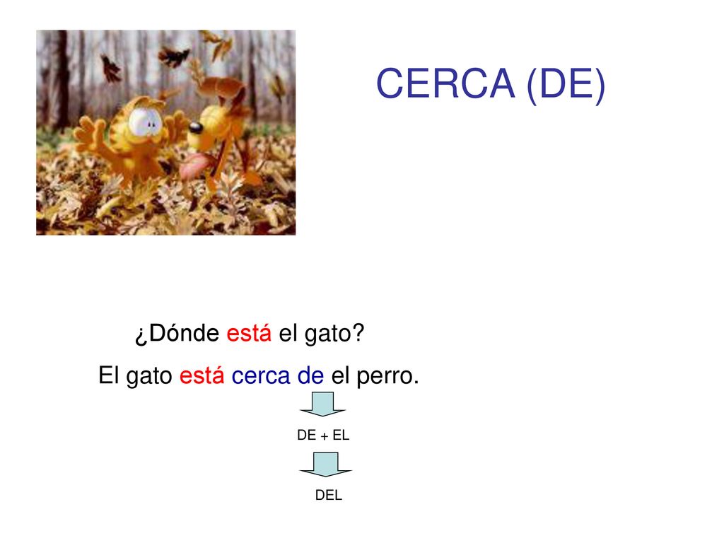 CERCA (DE) ¿Dónde está el gato El gato está cerca de el perro.