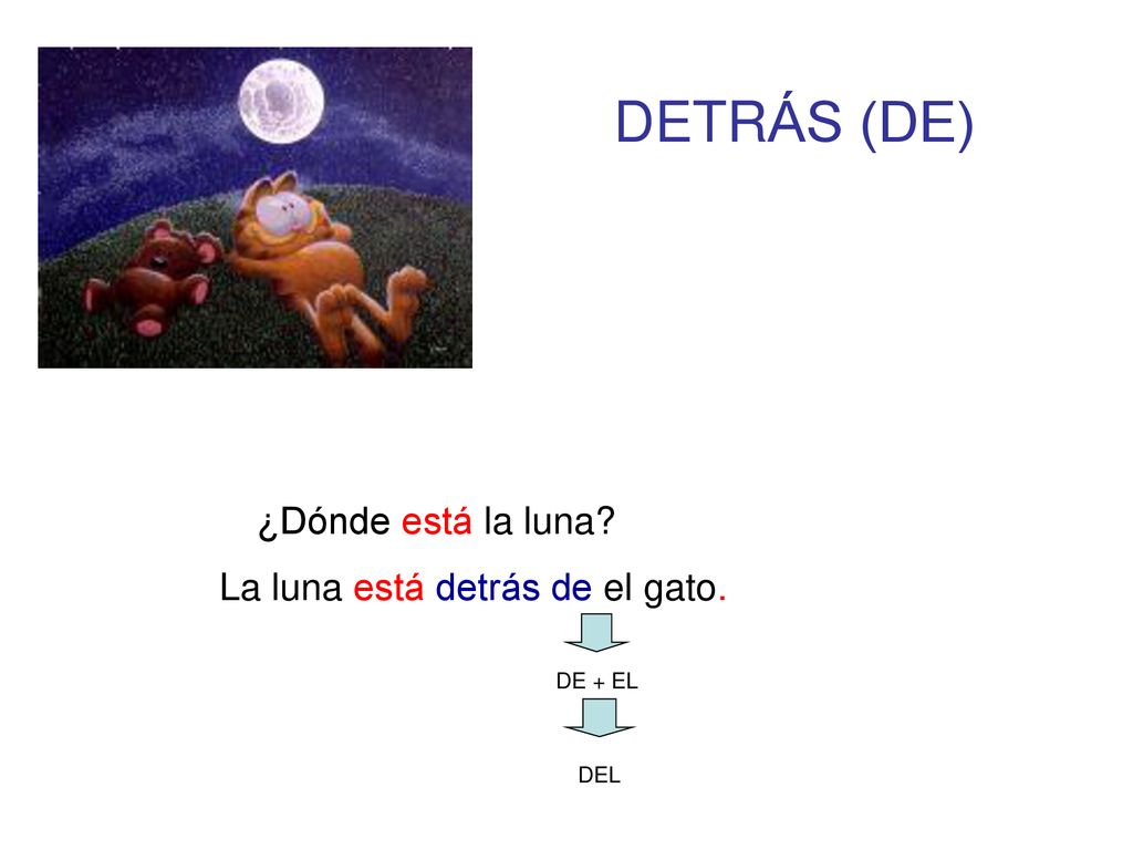 DETRÁS (DE) ¿Dónde está la luna La luna está detrás de el gato.