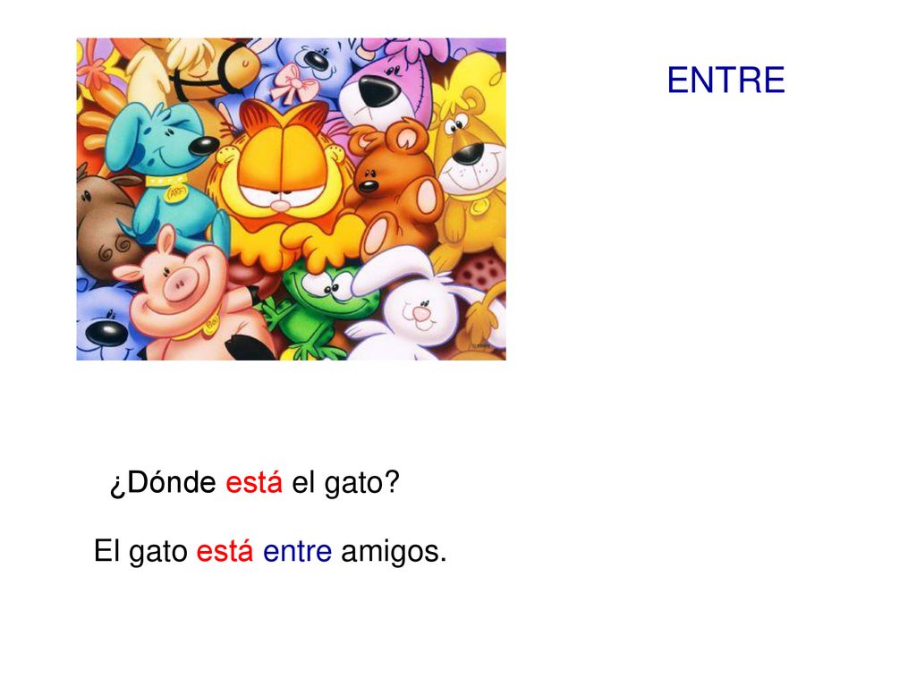 ENTRE ¿Dónde está el gato El gato está entre amigos.